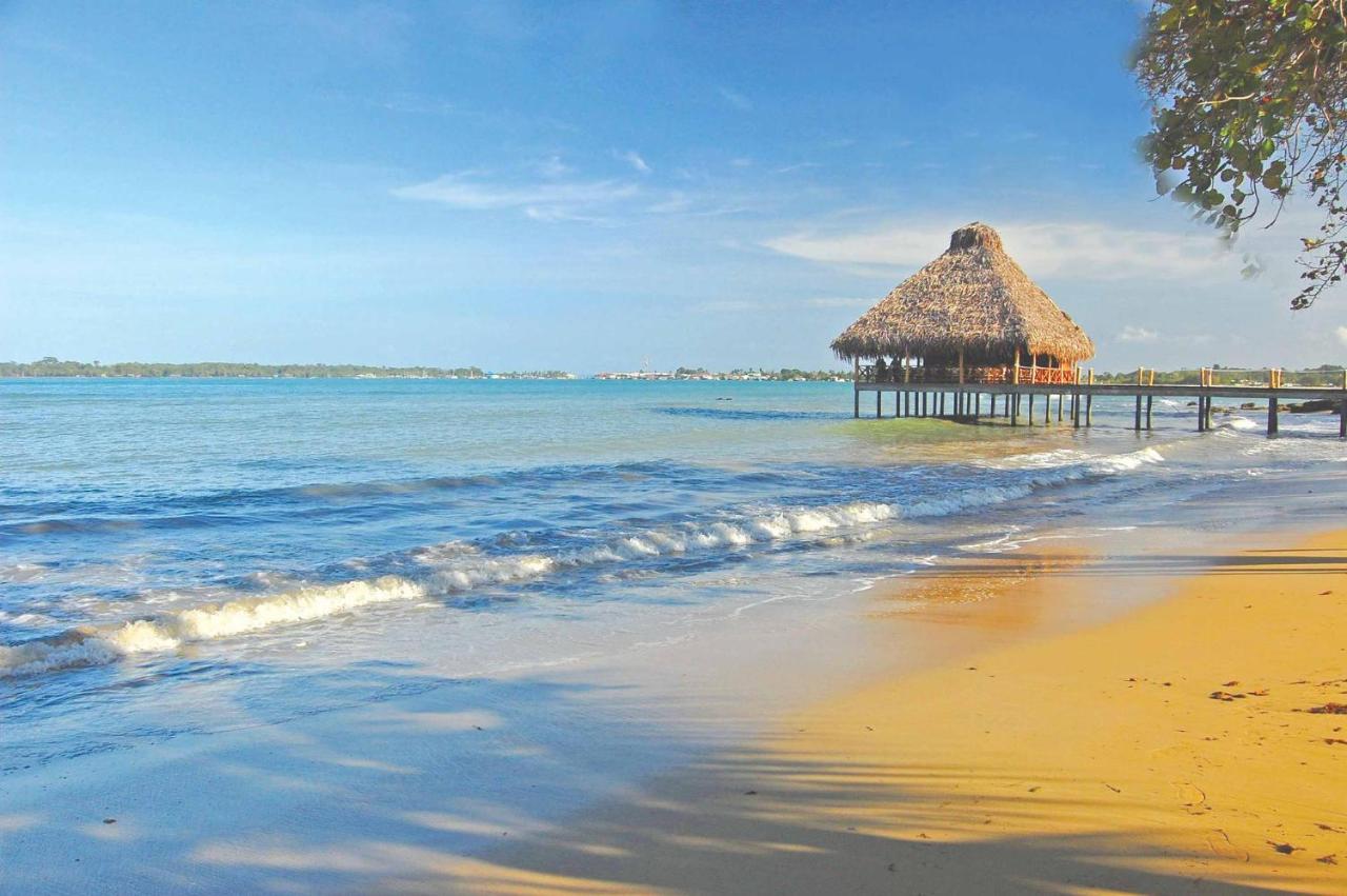 Playa Tortuga Hotel And Beach Resort Bocas del Toro Bekvämligheter bild