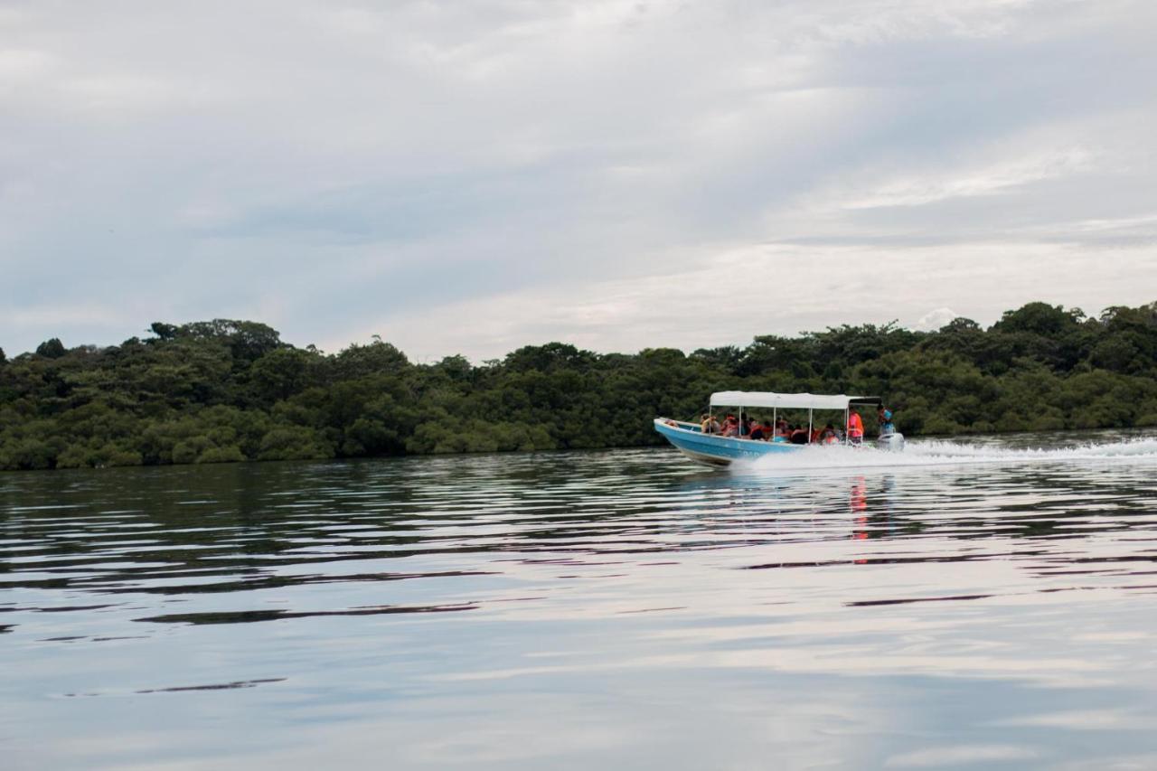 Playa Tortuga Hotel And Beach Resort Bocas del Toro Exteriör bild